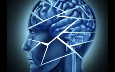 Chiropractic Neurology Addresses Symptoms of Vestibular Concussion