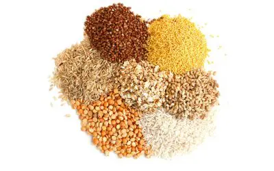 Are Grains Good for You?