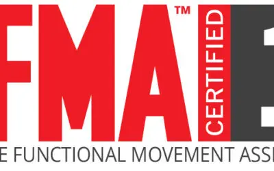What is Selective Functional Movement Assessment?