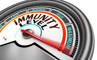 How to Boost Your Immune System